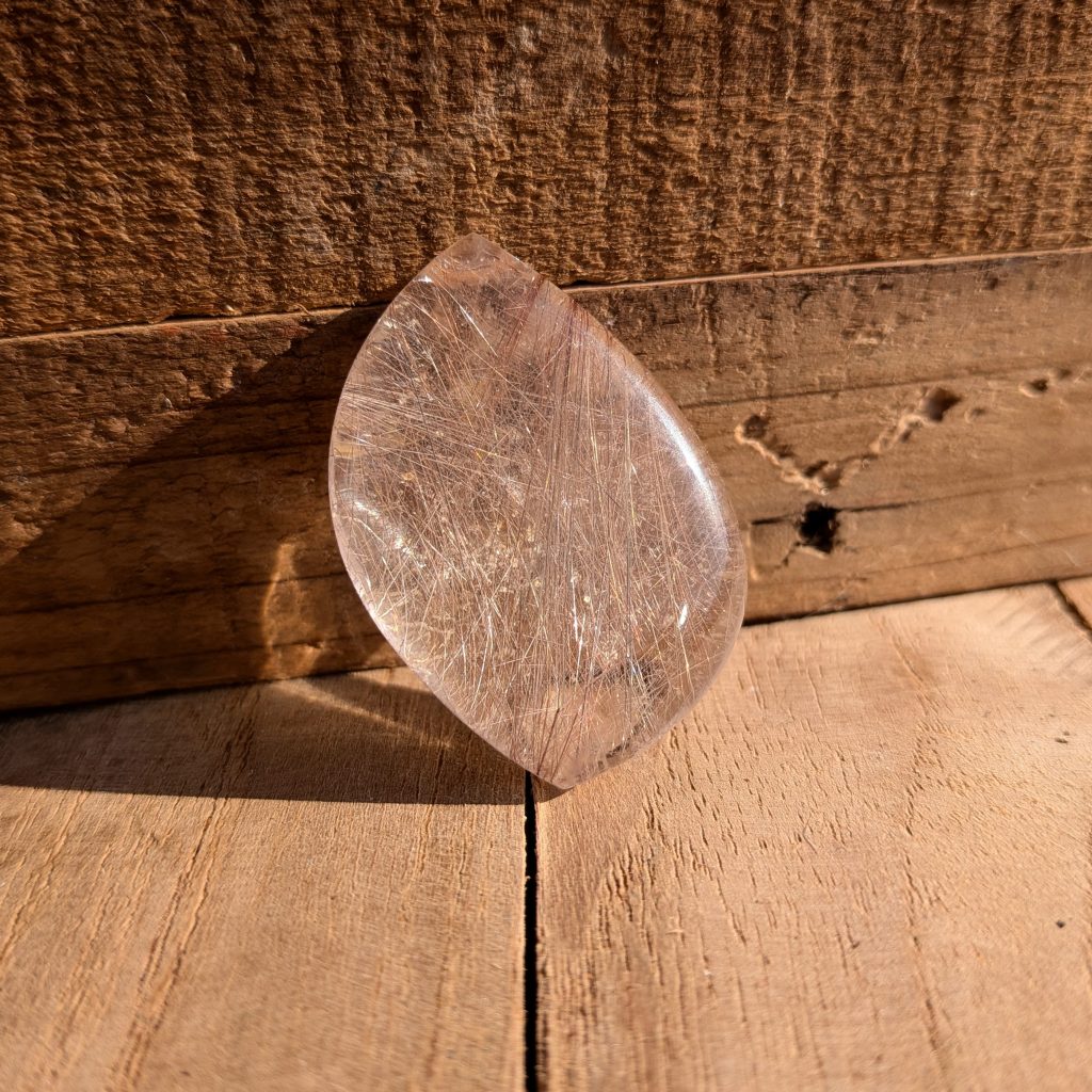 PXL_20260319_144421836.MACRO_FOCUS~2